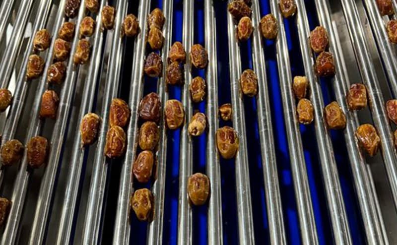 date sorting machine.jpg